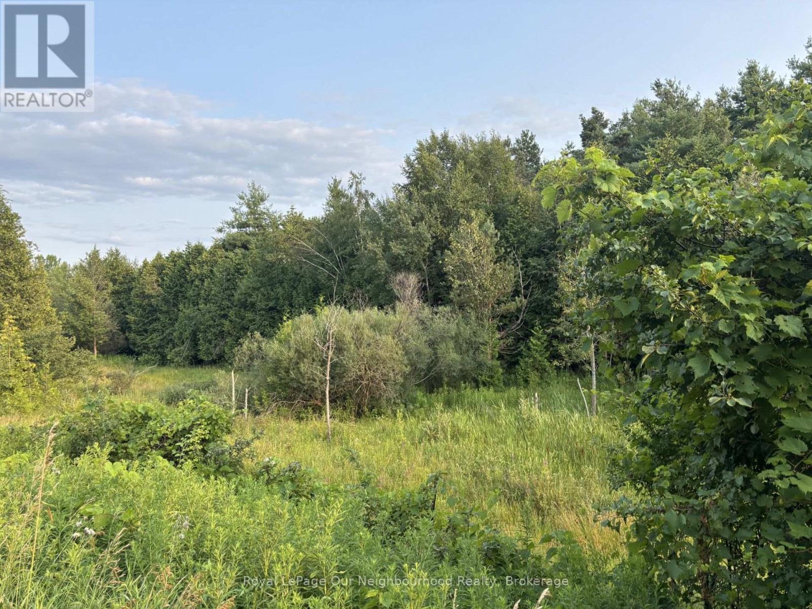Ptlt 10 Con 1 Vernonville Road, Alnwick/haldimand, Ontario  K0K 1S0 - Photo 8 - X13613124