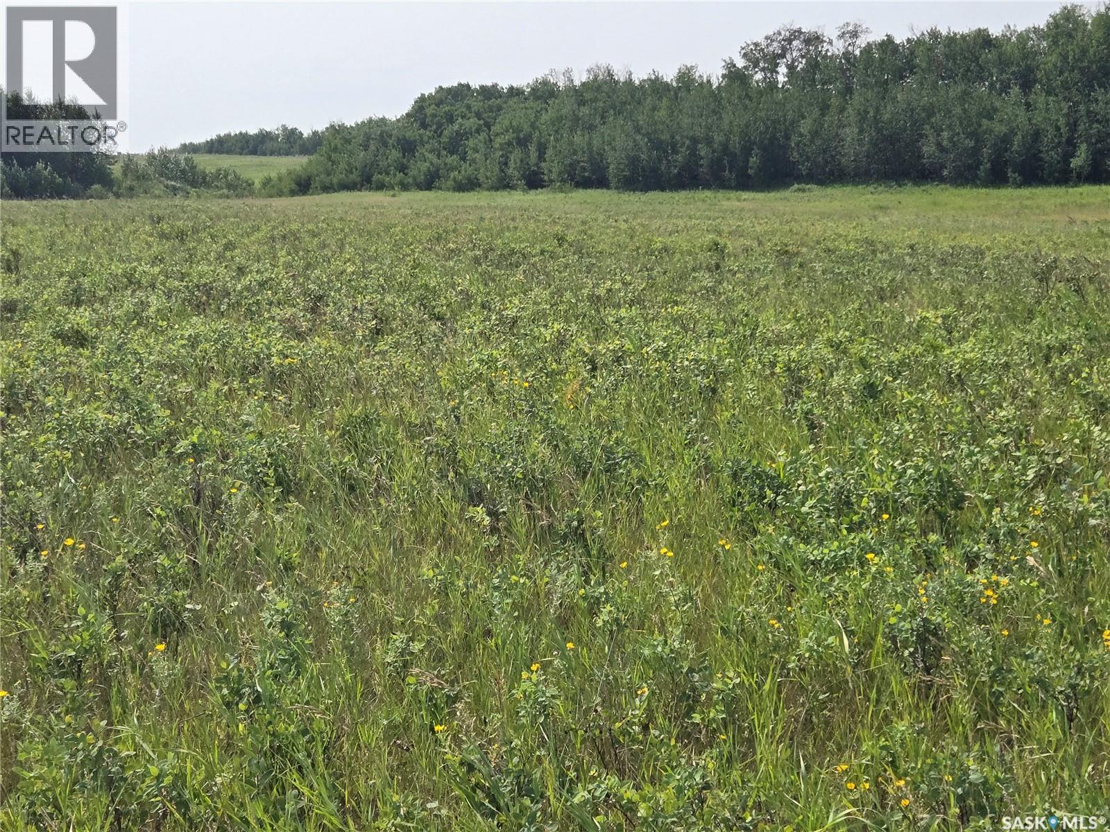 Laroque Land, Duck Lake Rm No. 463, Saskatchewan  S0K 1J0 - Photo 2 - SK044319