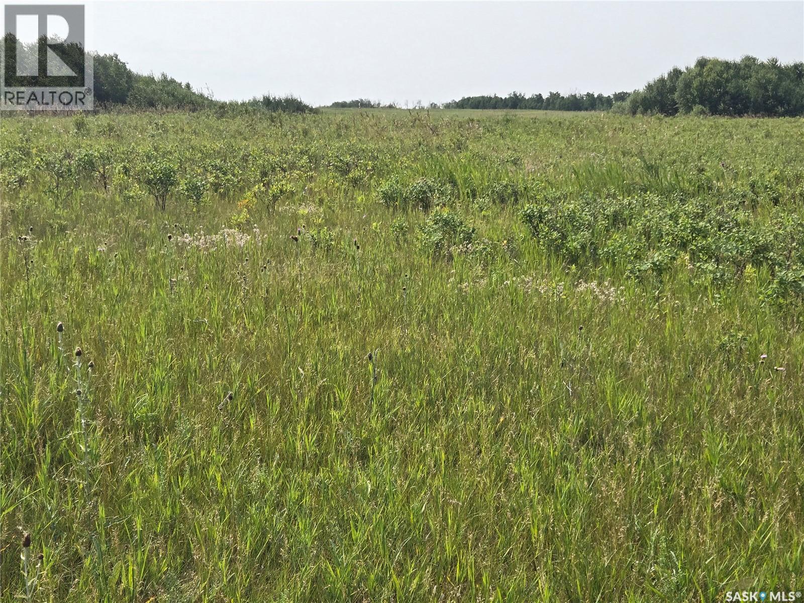 Laroque Land, Duck Lake Rm No. 463, Saskatchewan  S0K 1J0 - Photo 5 - SK044319