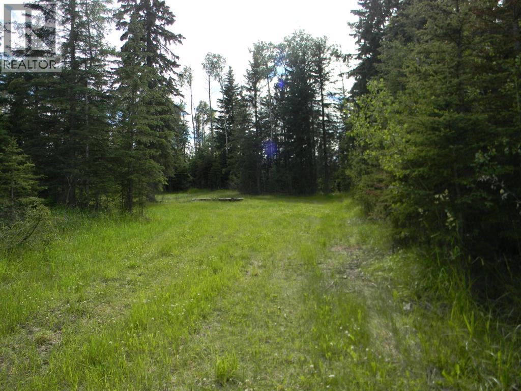 123 Meadow Ponds Drive, Rural Clearwater County, Alberta  T4T 2A2 - Photo 4 - A1021042
