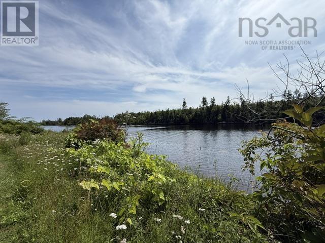 8274 7 Highway, Musquodoboit Harbour, Nova Scotia  B0J 2L0 - Photo 47 - 202600285