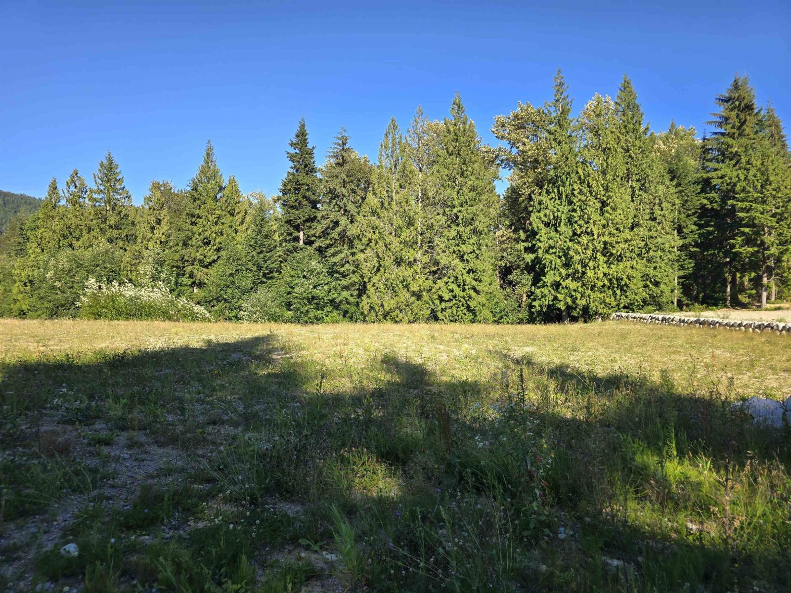 32221 Richards Avenue, Mission, British Columbia  V4S 1K8 - Photo 6 - R3151753