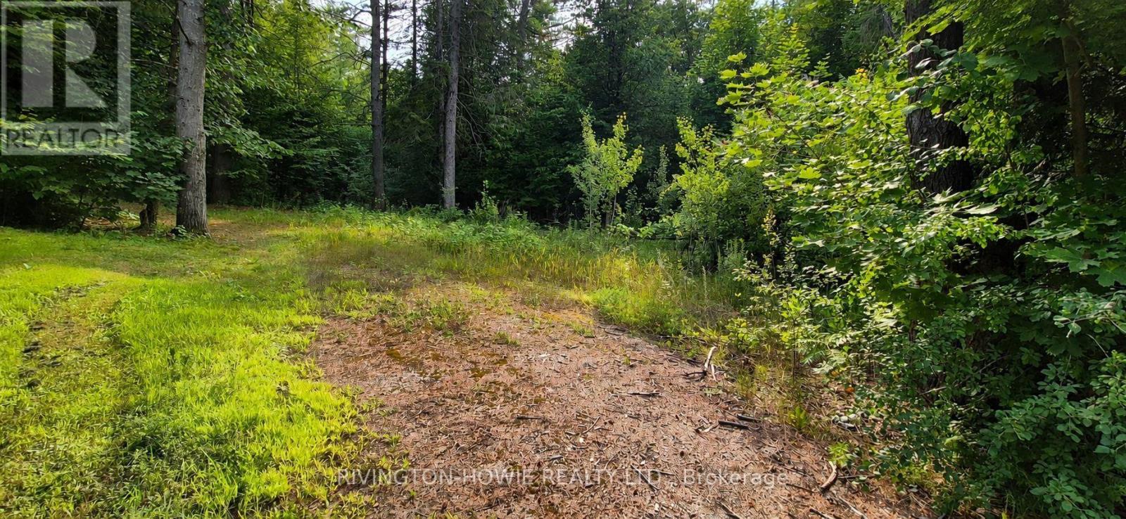 5045 Opeongo Road, Ottawa, Ontario K0A 3M0 - Photo 3 - X13630752