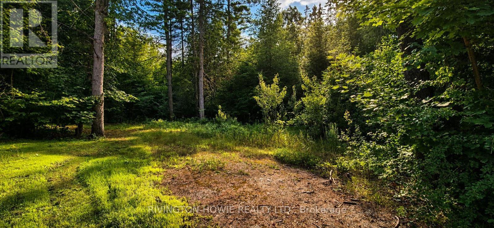 5045 Opeongo Road, Ottawa, Ontario K0A 3M0 - Photo 4 - X13630752