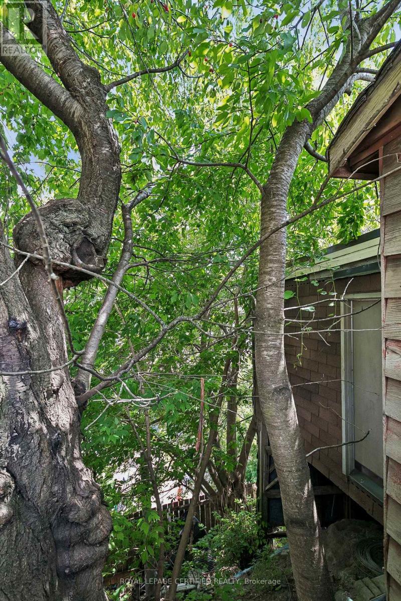 33 Donald Avenue, Toronto, Ontario  M6M 1J9 - Photo 35 - W13630740