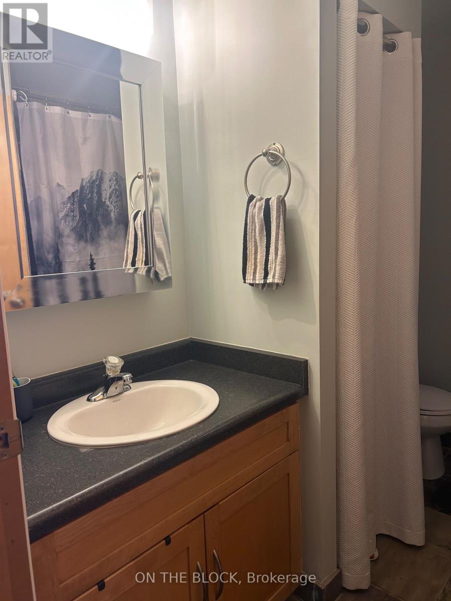 113 - 26 Ontario Street, Guelph, Ontario  N1E 7K1 - Photo 6 - X13630742