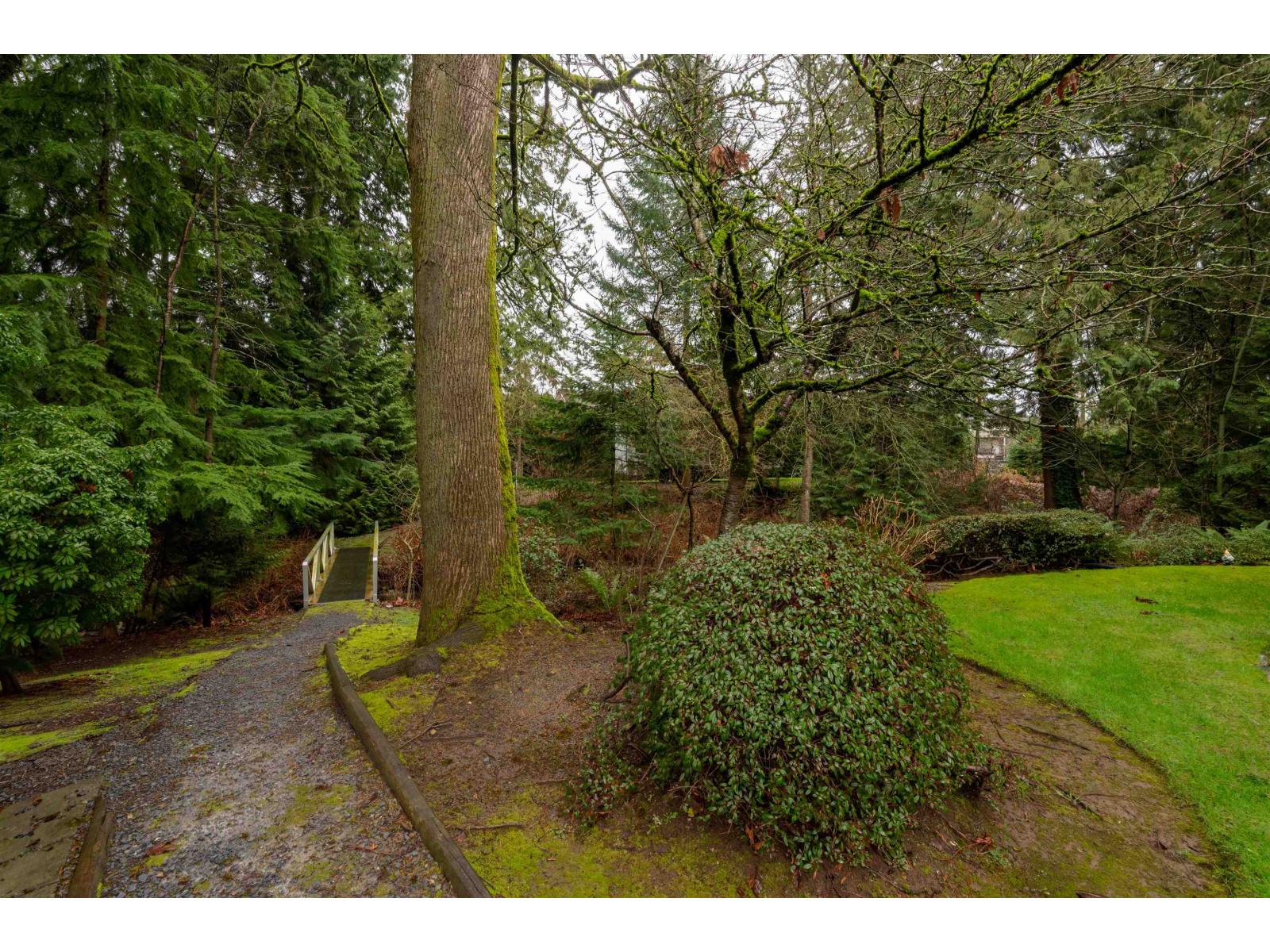 205 10584 153 Street, Surrey, British Columbia  V3R 9V1 - Photo 34 - R3137793