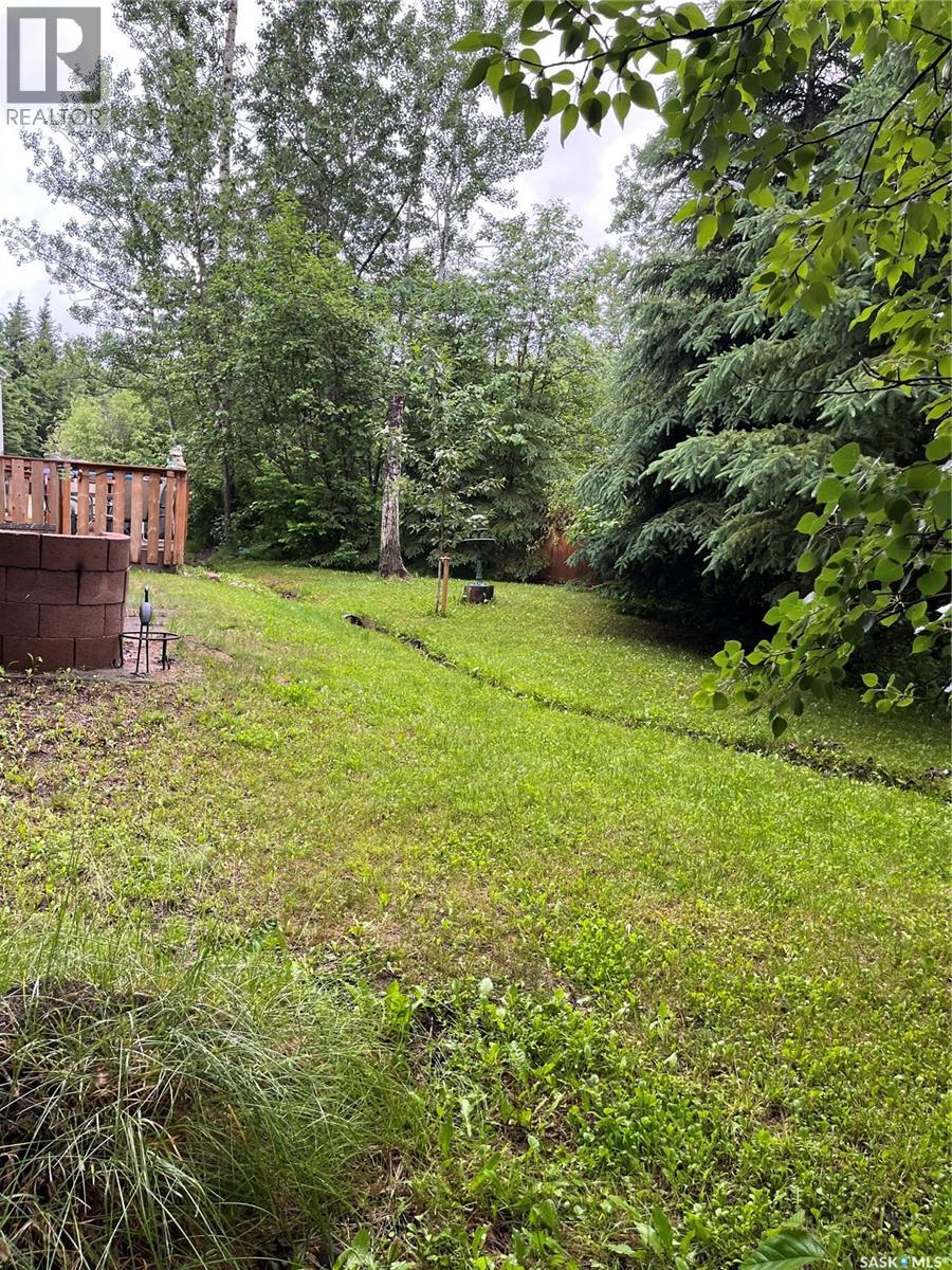 88 124 Ambrose Lane, Lakeland Rm No. 521, Saskatchewan S0J 0N0 - Photo 11 - SK044288