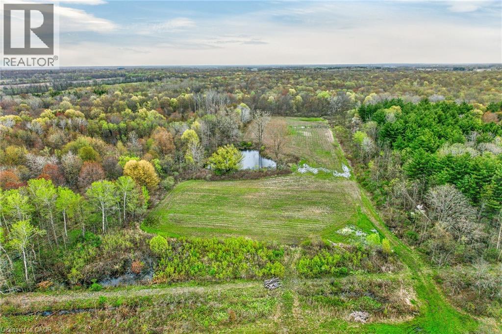 8151 Highway 3, Dunnville, Ontario  N1A 2W4 - Photo 47 - 40825767