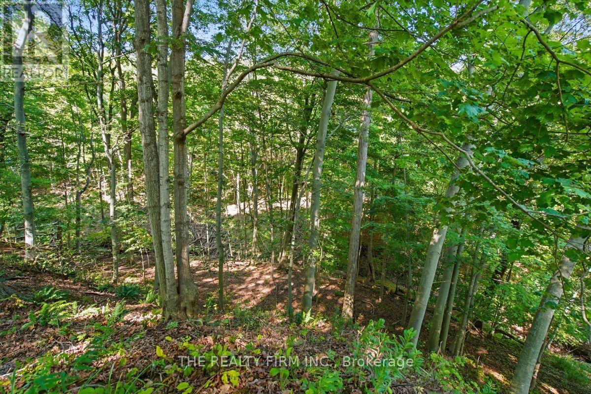 7338 Coyne Road, Dutton/dunwich, Ontario  N0L 2M0 - Photo 38 - X13630992