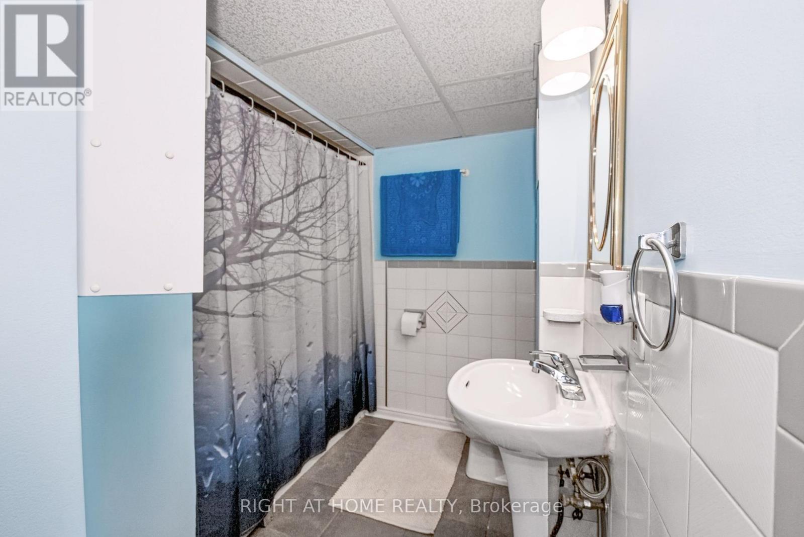 229 Britannia Avenue, Bradford West Gwillimbury, Ontario  L3Z 1A4 - Photo 27 - N13630968