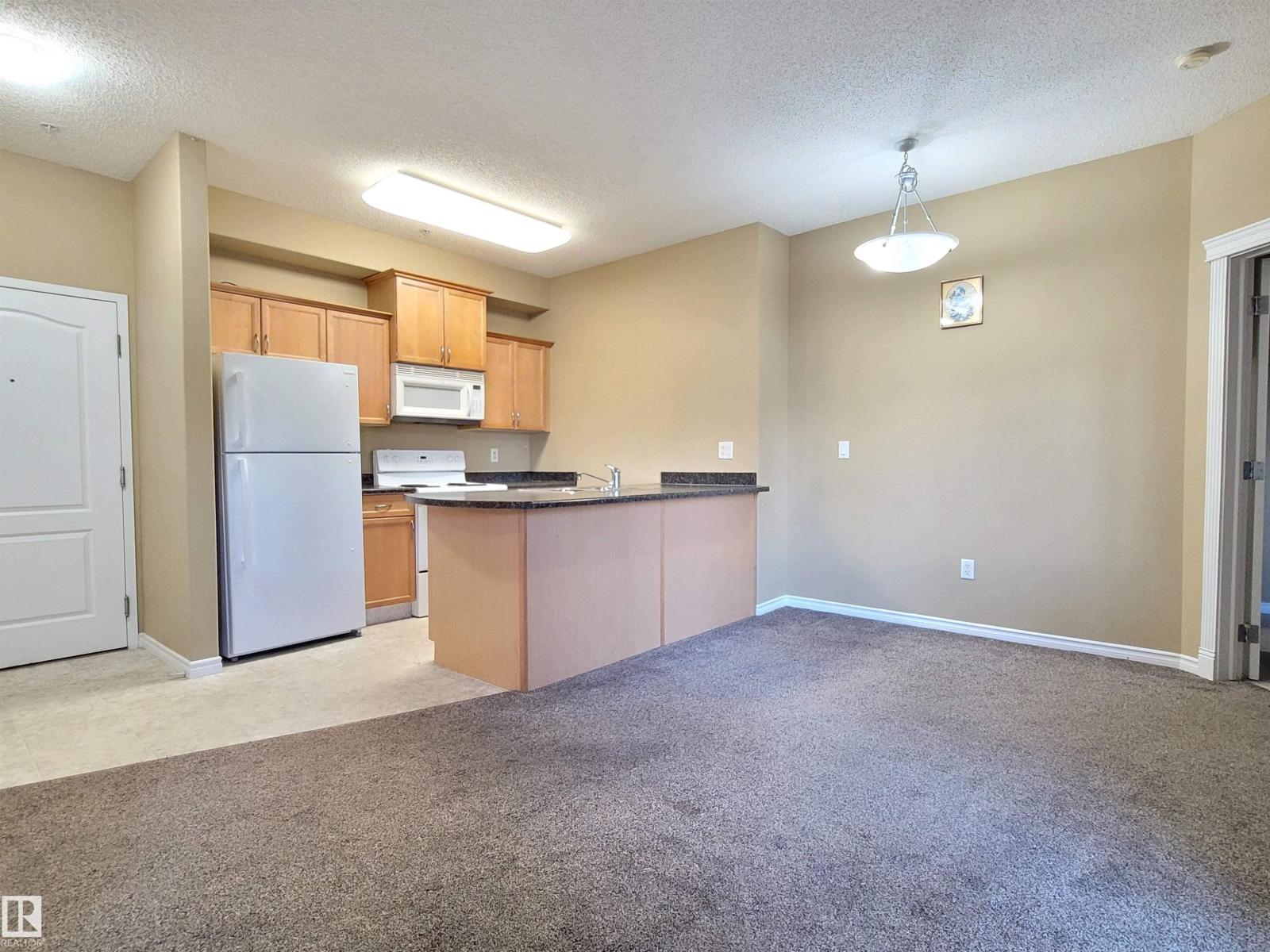 #128 16807 100 Av NW NW, Edmonton, Alberta  T5P 4Z6 - Photo 7 - E4497554