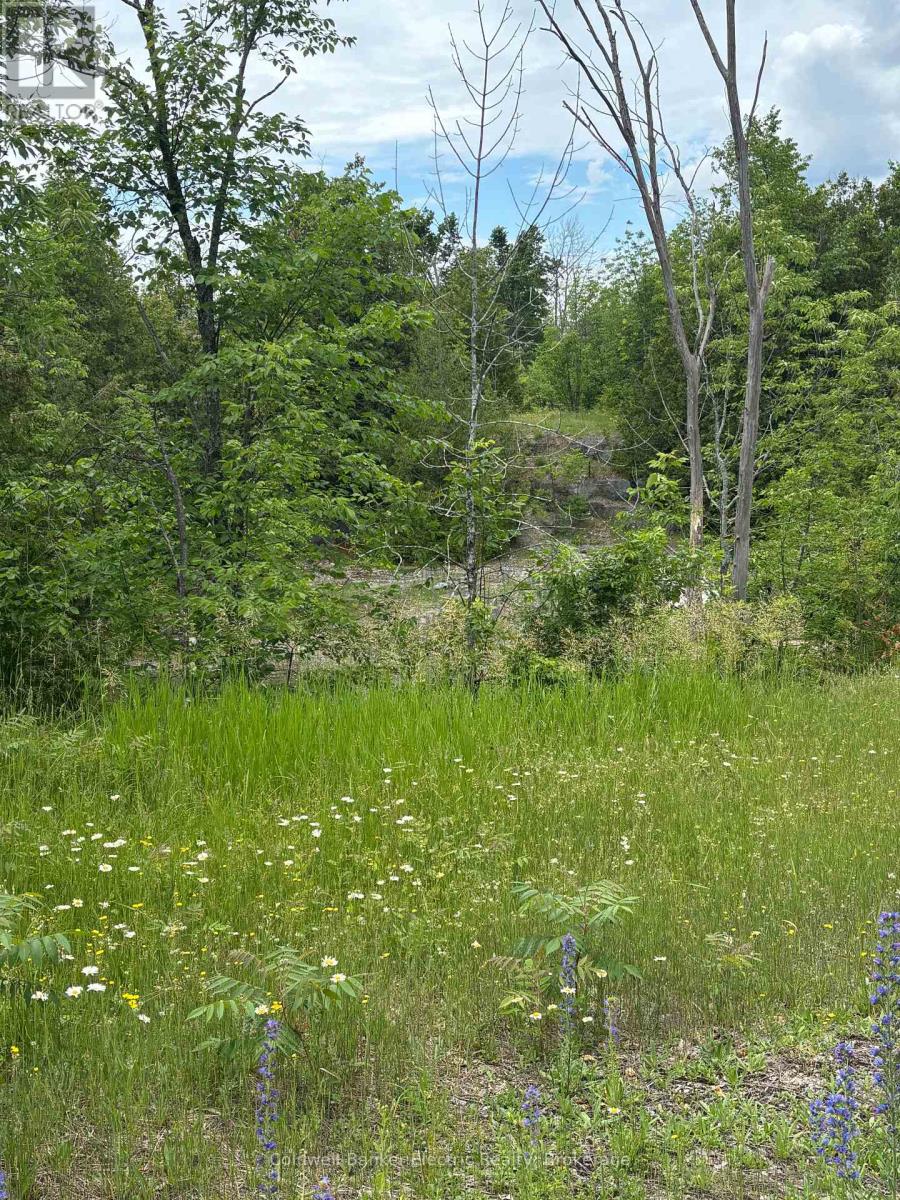 0 TOWER ROAD, Madoc, Ontario