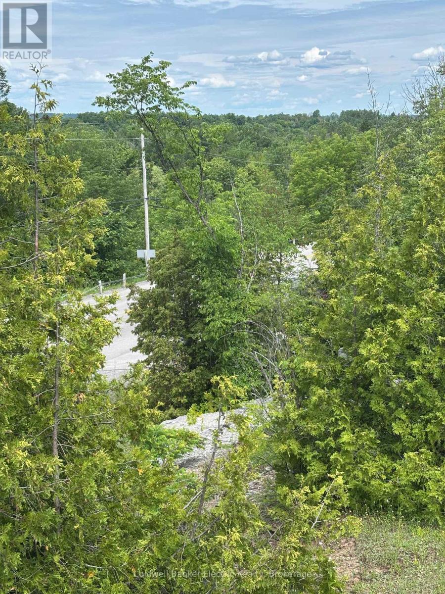 0 Tower Road, Madoc, Ontario  K0K 1Y0 - Photo 6 - X13489608