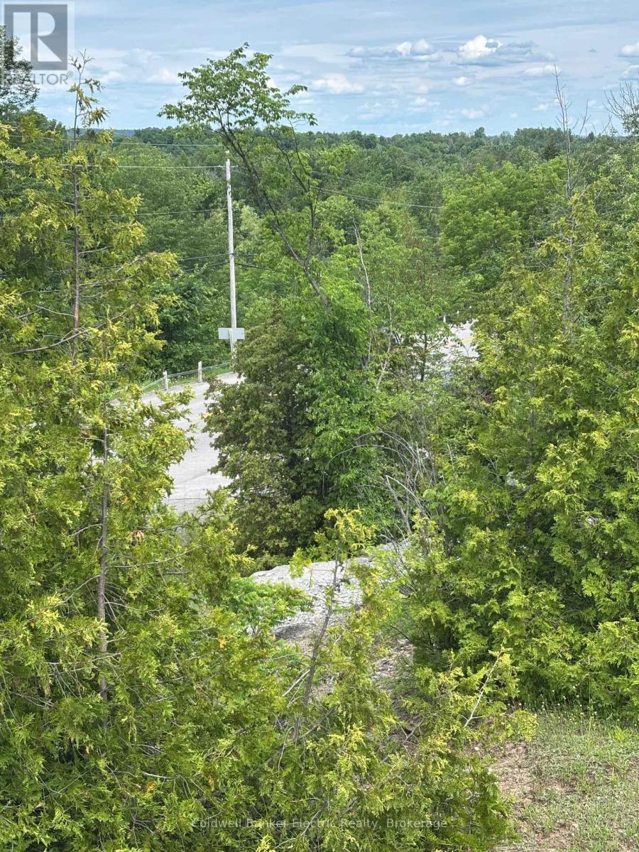 0 Tower Road, Madoc, Ontario  K0K 1Y0 - Photo 5 - X13489608
