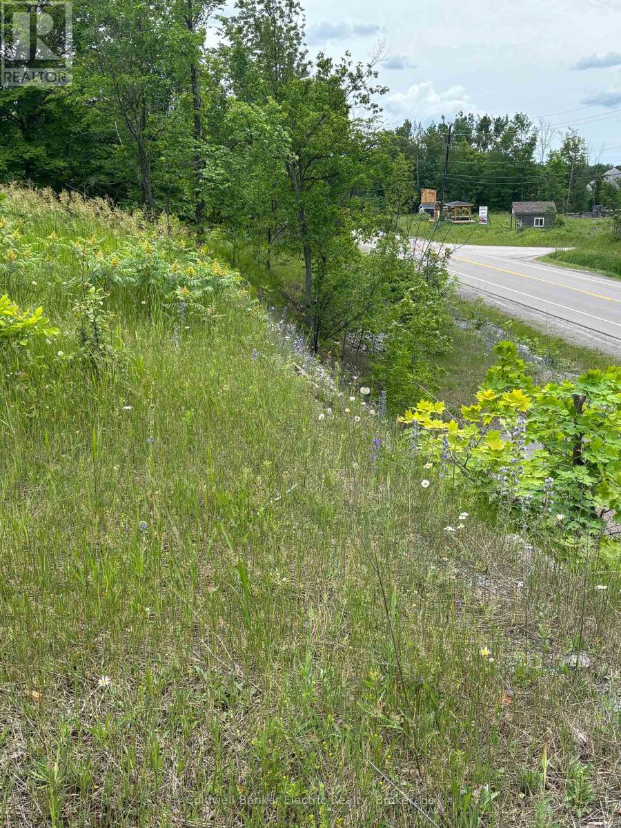 0 Tower Road, Madoc, Ontario  K0K 1Y0 - Photo 8 - X13489608