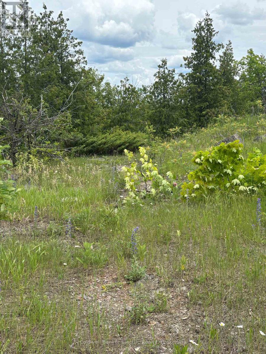 0 Tower Road, Madoc, Ontario  K0K 1Y0 - Photo 7 - X13489608