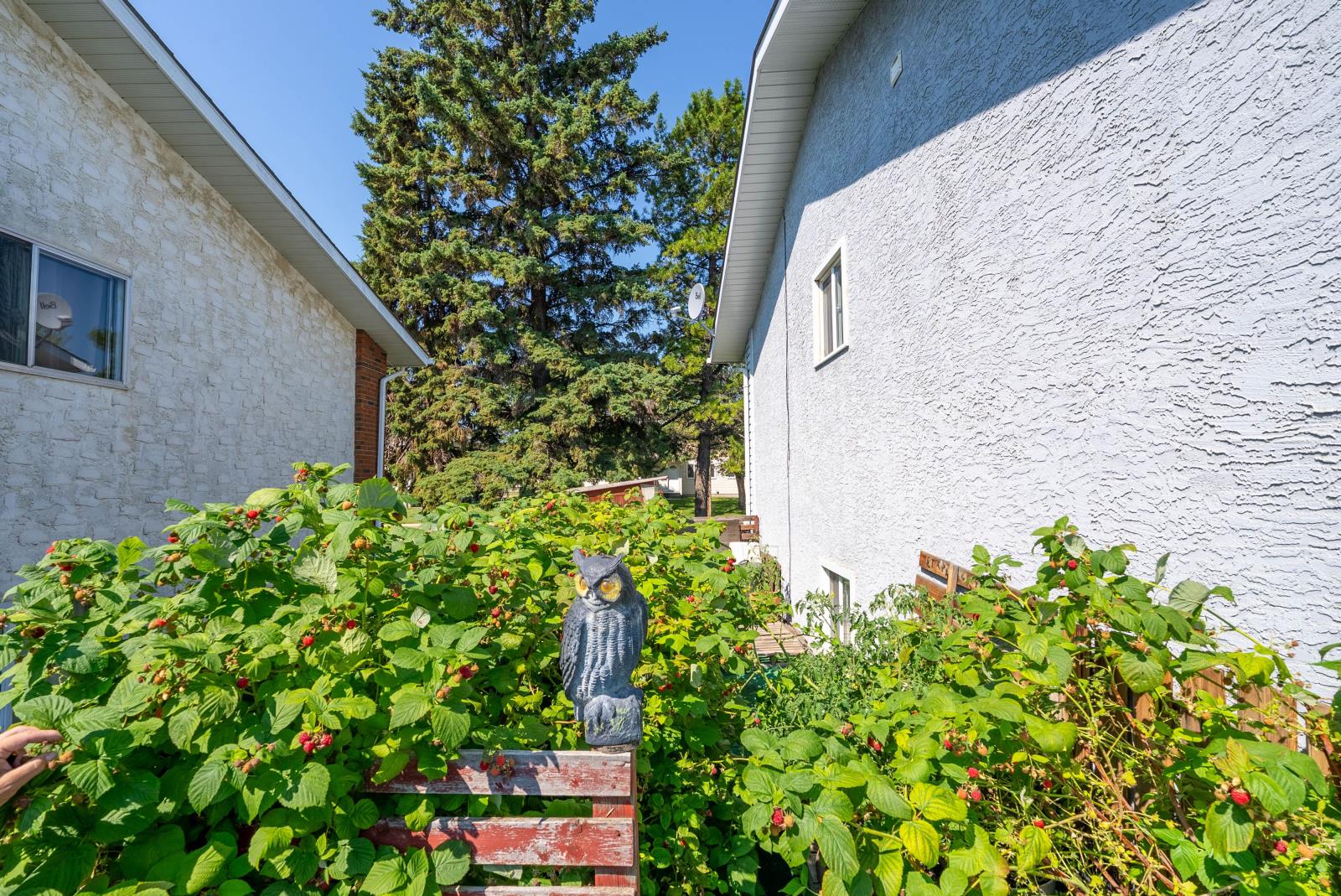 3907 3905 54 Street, Wetaskiwin, Alberta T9A 1S7 - Photo 62 - 45351331