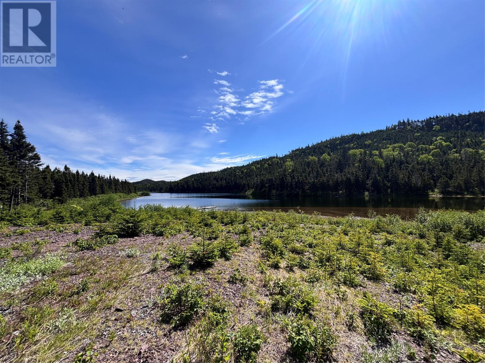 0 Spar Pond, Burgoynes Cove, Newfoundland & Labrador  A0C 1G0 - Photo 13 - 1300727
