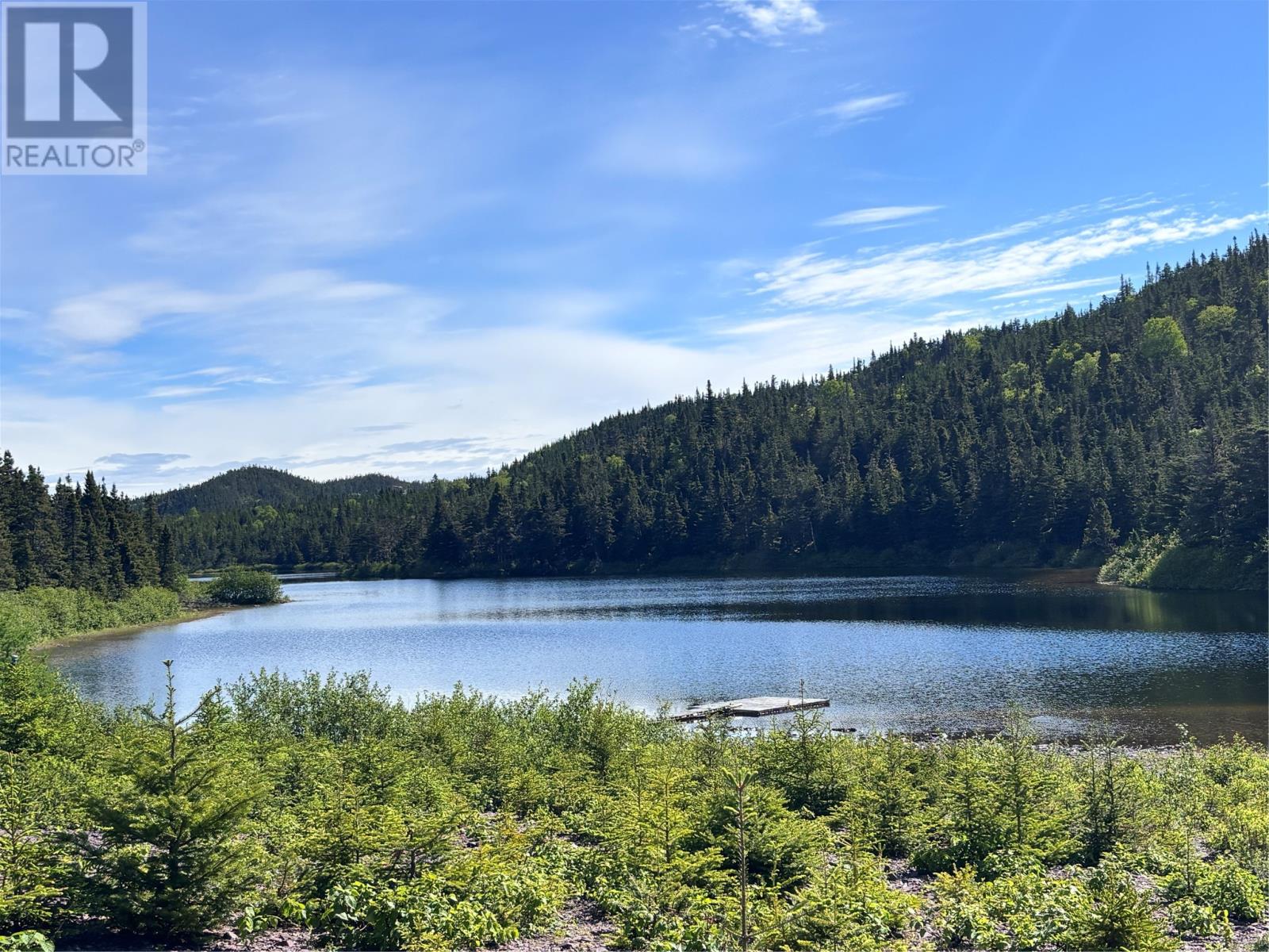 0 Spar Pond, Burgoynes Cove, Newfoundland & Labrador  A0C 1G0 - Photo 3 - 1300727