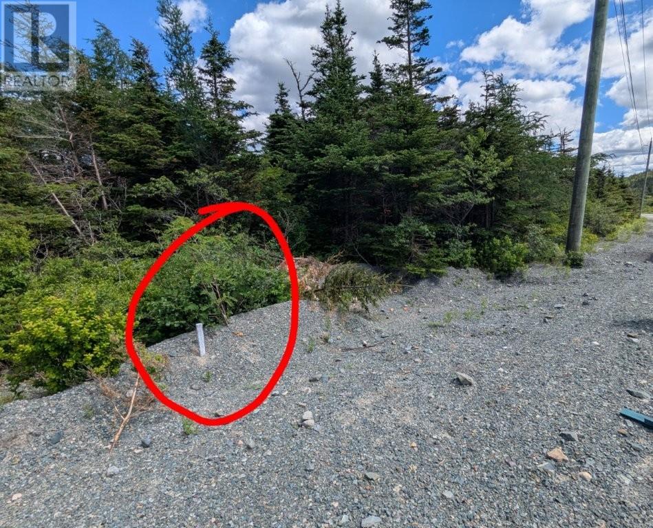 601 Foxtrap Access Road, Conception Bay South — photo 4