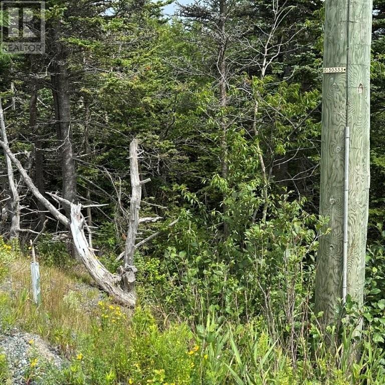 601 Foxtrap Access Road, Conception Bay South — photo 12