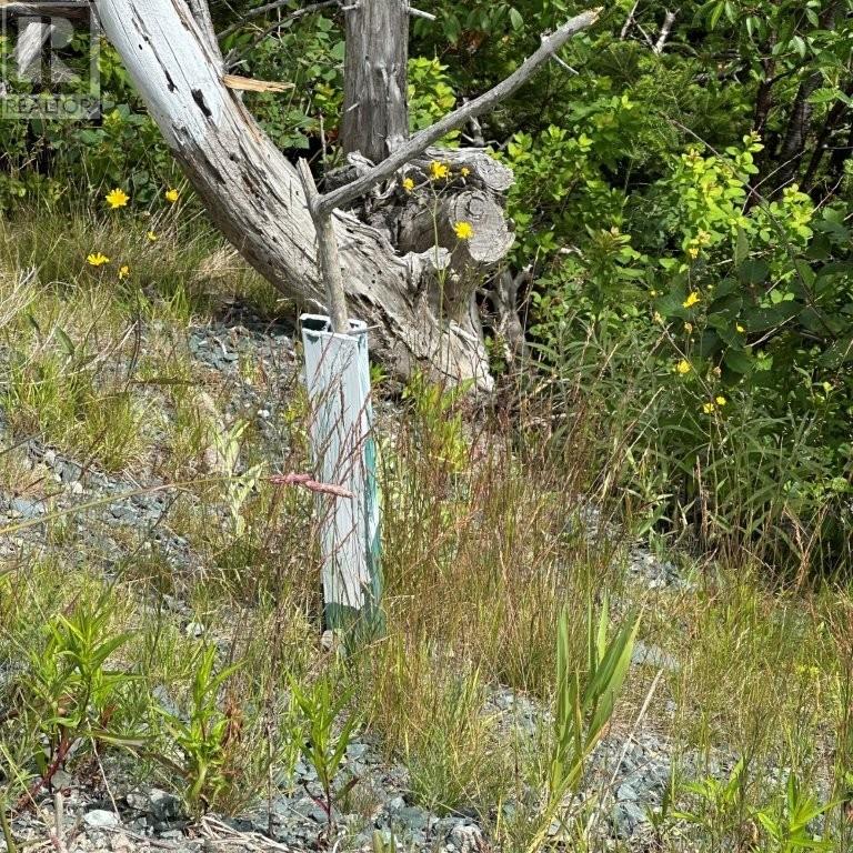 601 Foxtrap Access Road, Conception Bay South — photo 14