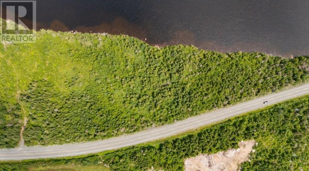 601 Foxtrap Access Road, Conception Bay South — photo 11