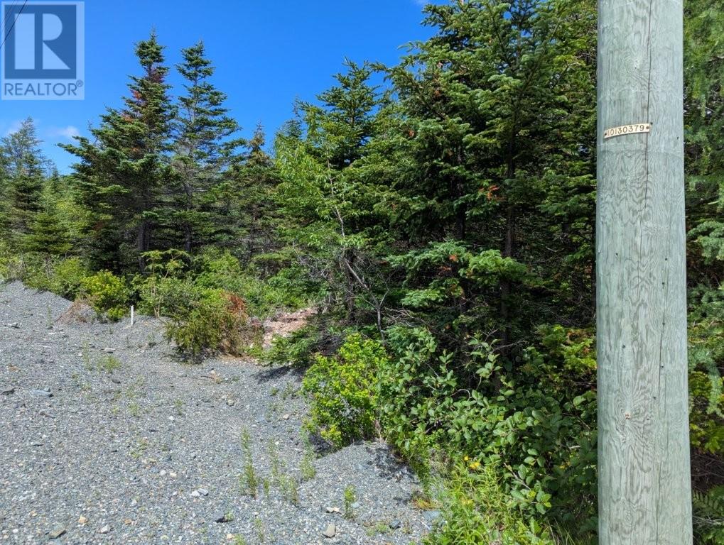 601 Foxtrap Access Road, Conception Bay South — photo 5