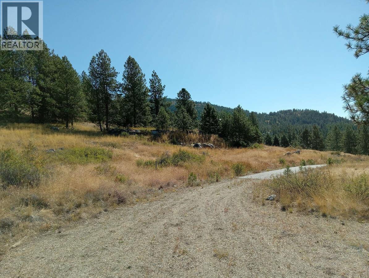 1024 Bullmoose Trail Lot# 8, Osoyoos, British Columbia  V0H 1V6 - Photo 7 - 10358218