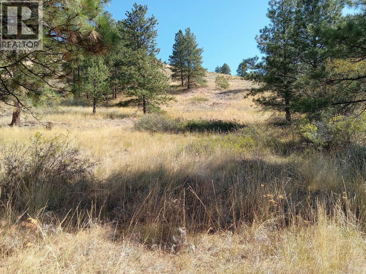 1024 Bullmoose Trail Lot# 8, Osoyoos, British Columbia  V0H 1V6 - Photo 15 - 10358218