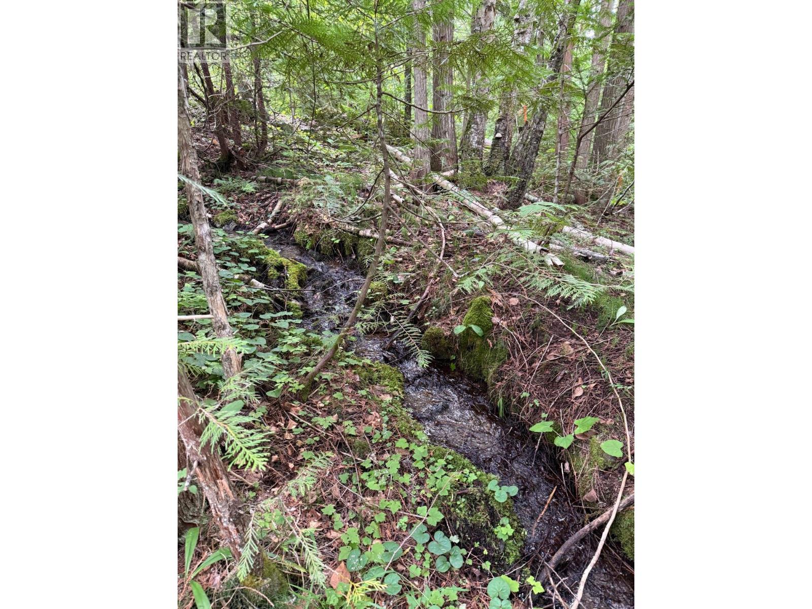 Lot 2 Martens Road, Slocan, British Columbia  V0G 2C0 - Photo 3 - 10390866
