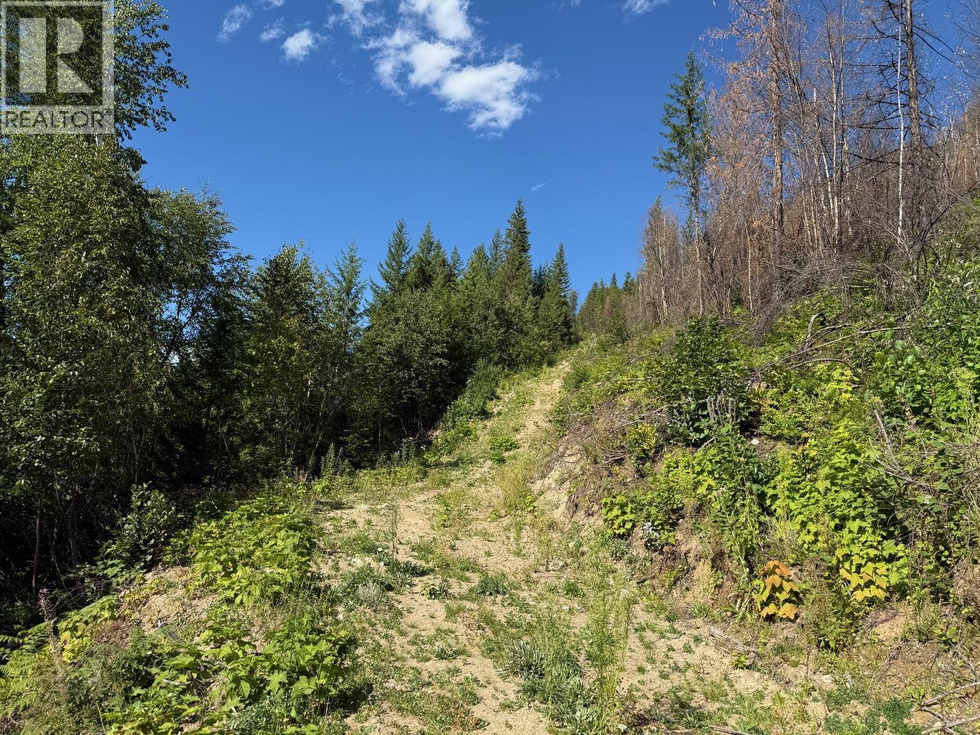 Lot 2 Martens Road, Slocan, British Columbia  V0G 2C0 - Photo 5 - 10390866