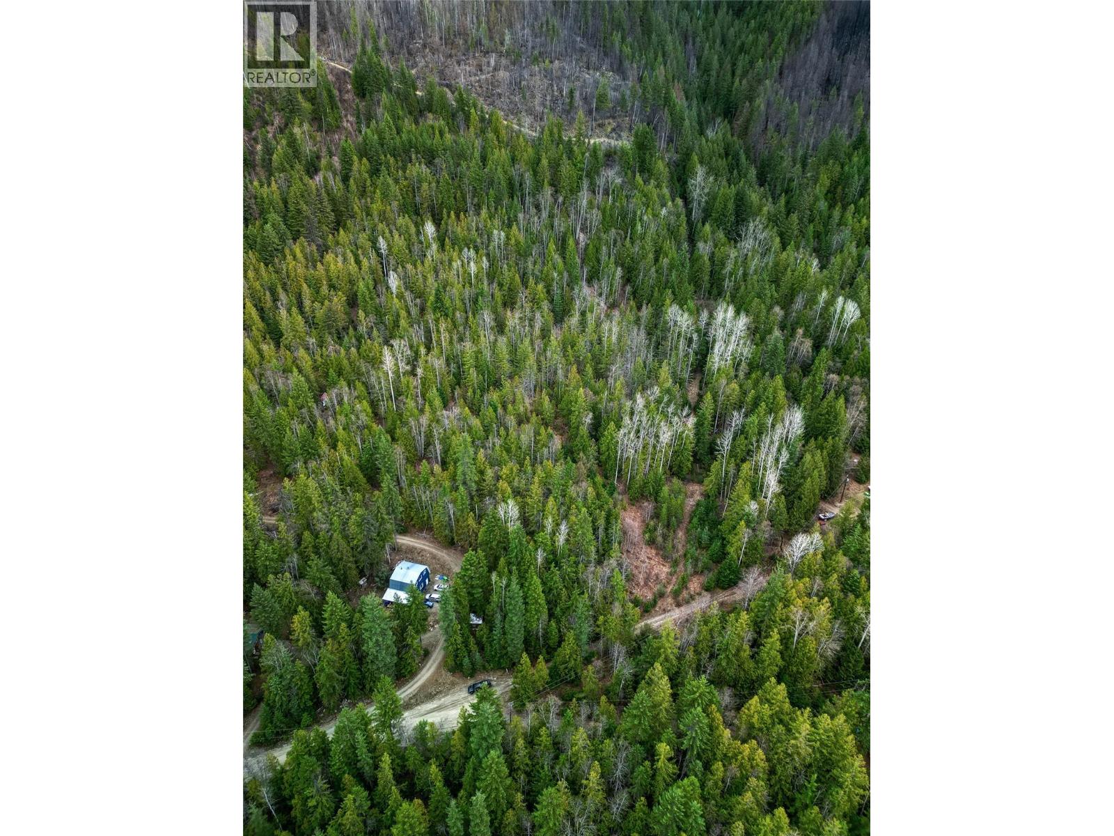 Lot 2 Martens Road, Slocan, British Columbia  V0G 2C0 - Photo 7 - 10390866