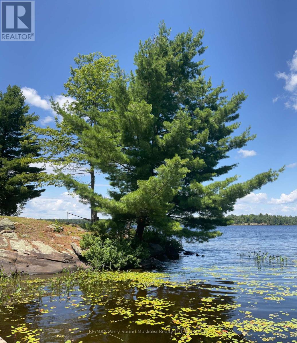 216 Lone Tree Road, Parry Sound Remote Area, Ontario  P0H 1S0 - Photo 10 - X13631386