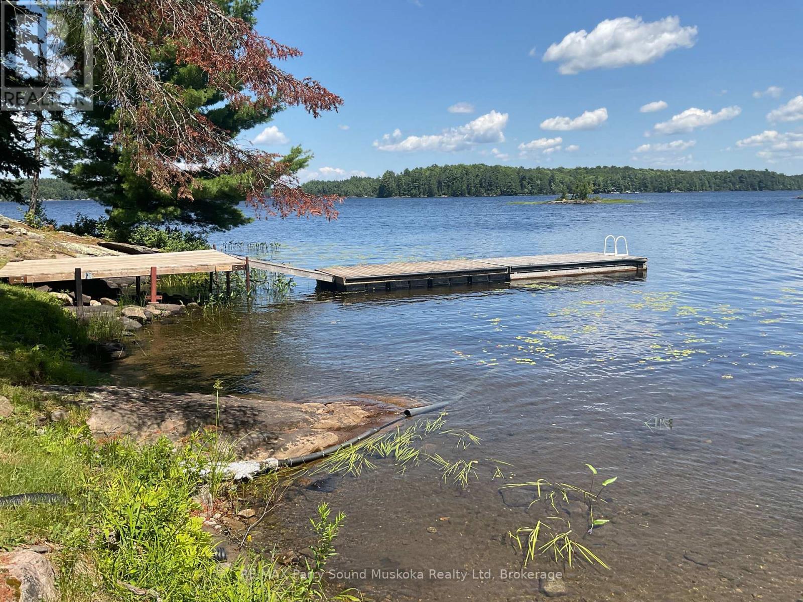 216 Lone Tree Road, Parry Sound Remote Area, Ontario  P0H 1S0 - Photo 7 - X13631386