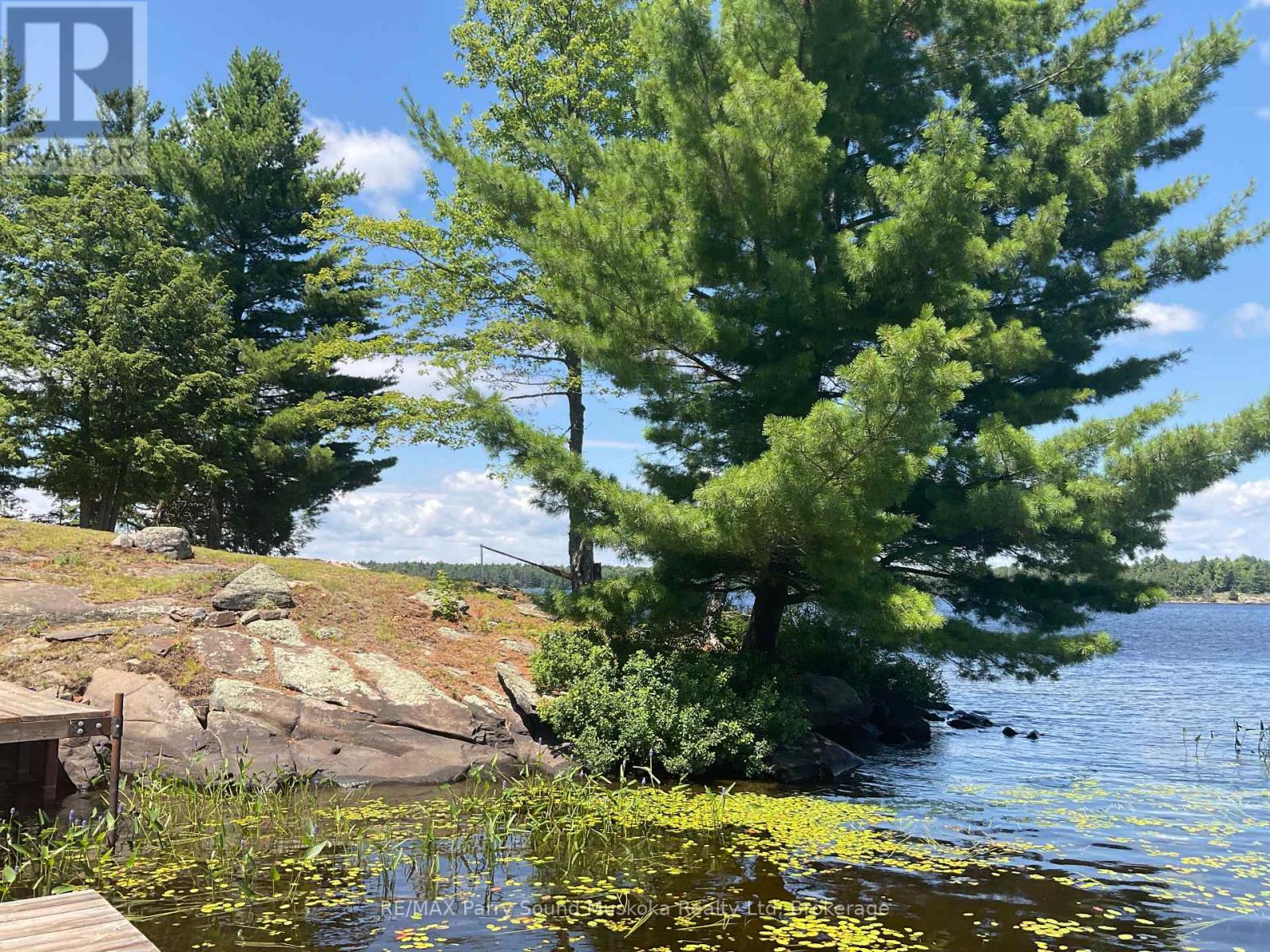 216 Lone Tree Road, Parry Sound Remote Area, Ontario  P0H 1S0 - Photo 9 - X13631386