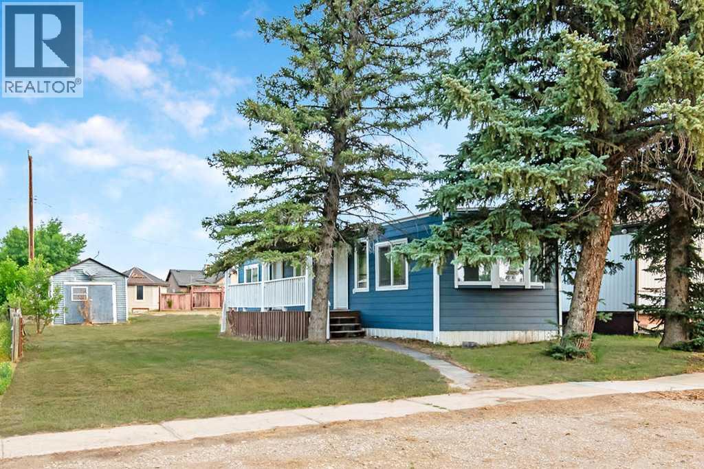 225 2 Avenue N, champion, Alberta