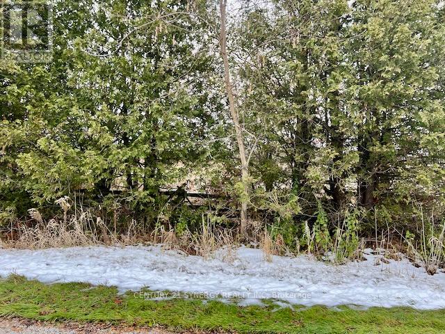 Lot # 2 - 000 Armstrong Road, Drummond/north Elmsley, Ontario  K7A 4S4 - Photo 6 - X12545622