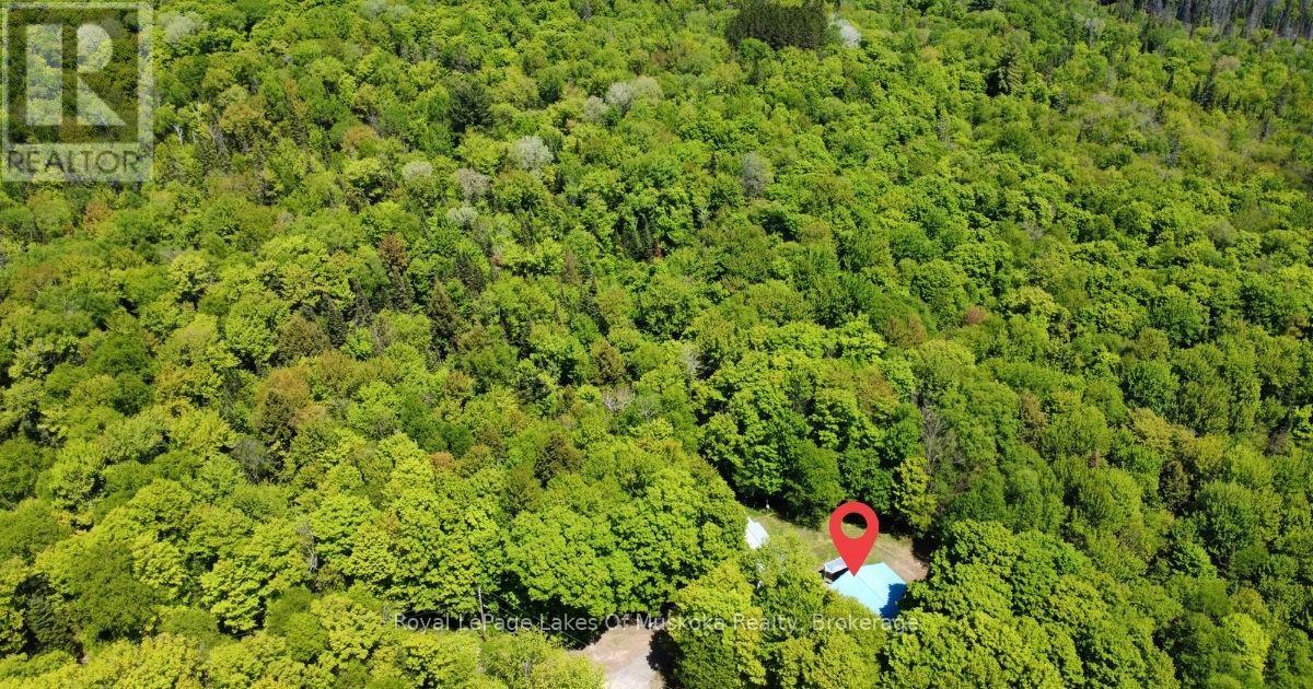 722 South Horn Lk Road, Armour, Ontario  P0A 1C0 - Photo 3 - X13249024