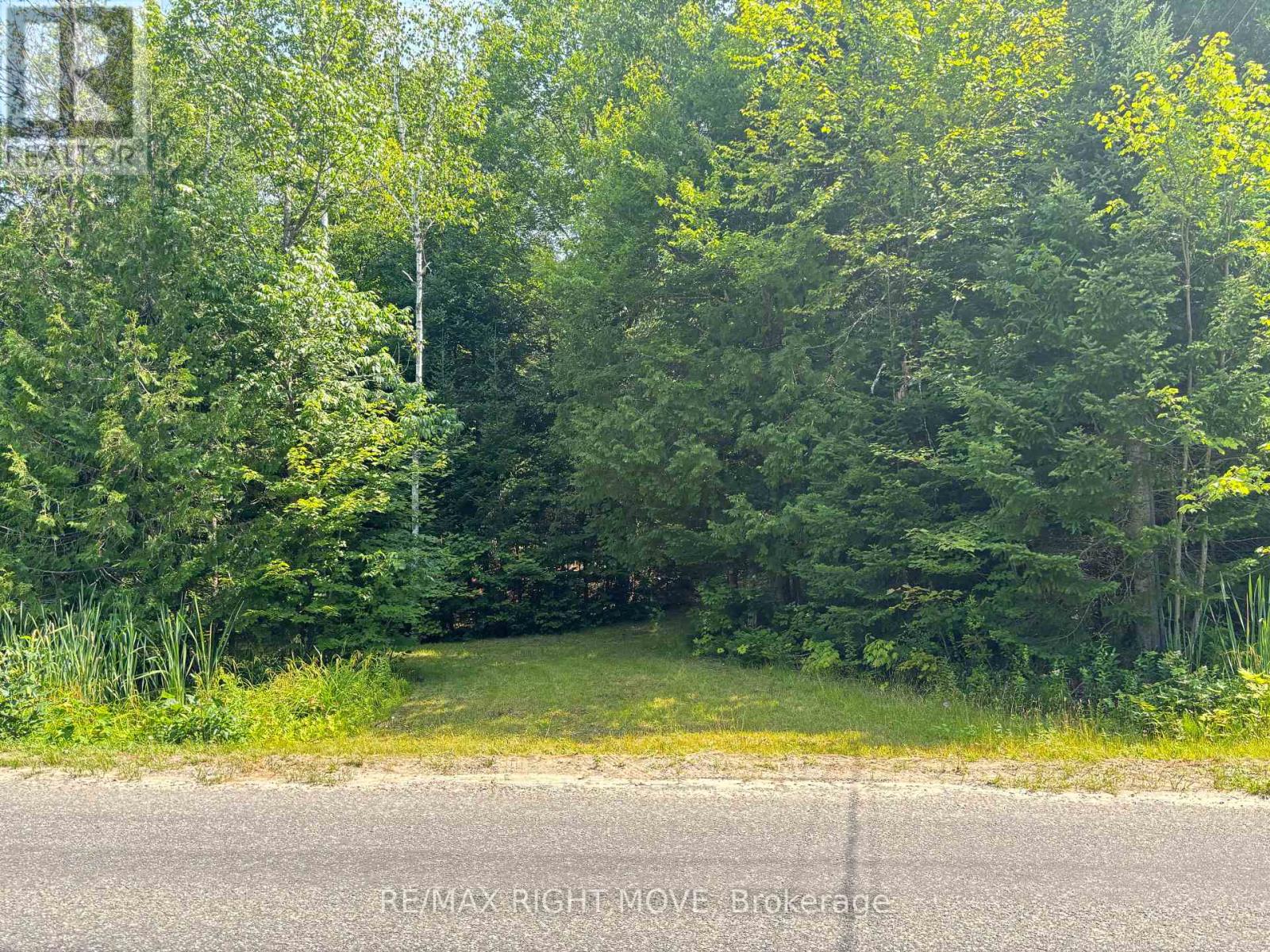 50 Sunrise Drive, Kearney, Ontario  P0A 1M0 - Photo 2 - X13631562