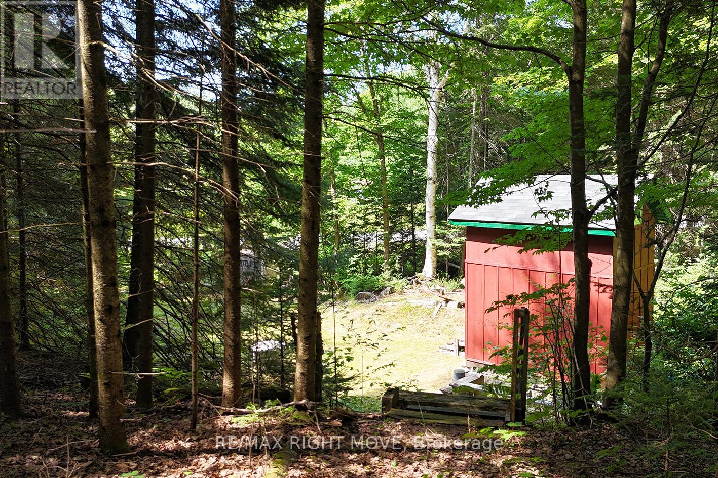 50 Sunrise Drive, Kearney, Ontario  P0A 1M0 - Photo 5 - X13631562