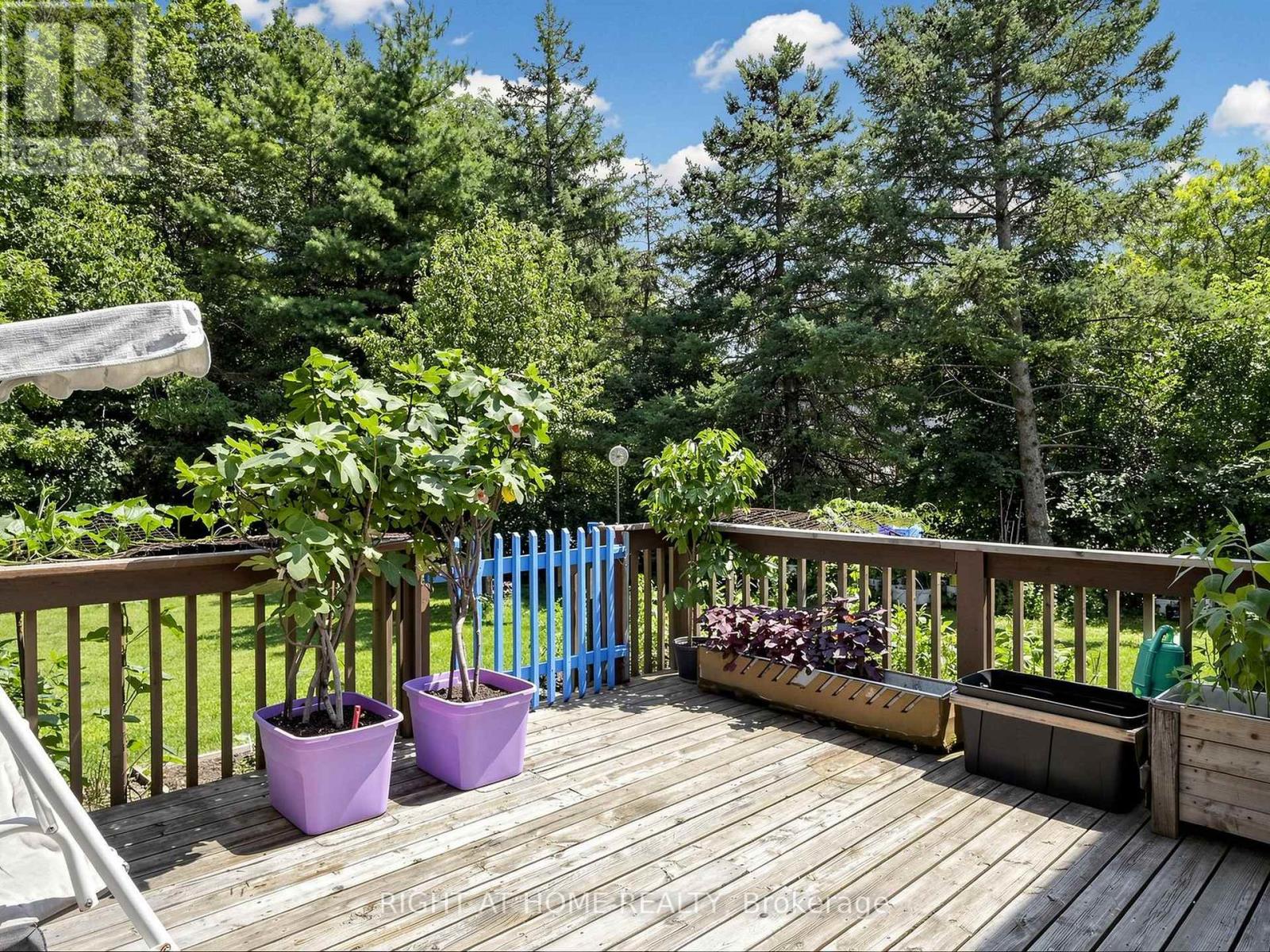 138 Strawberry Drive, Hamilton, Ontario  L8E 4R7 - Photo 34 - X13631576