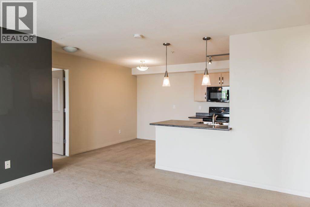 321, 9124 96 Avenue, Grande Prairie, Alberta  T8X 0A1 - Photo 5 - A2334143