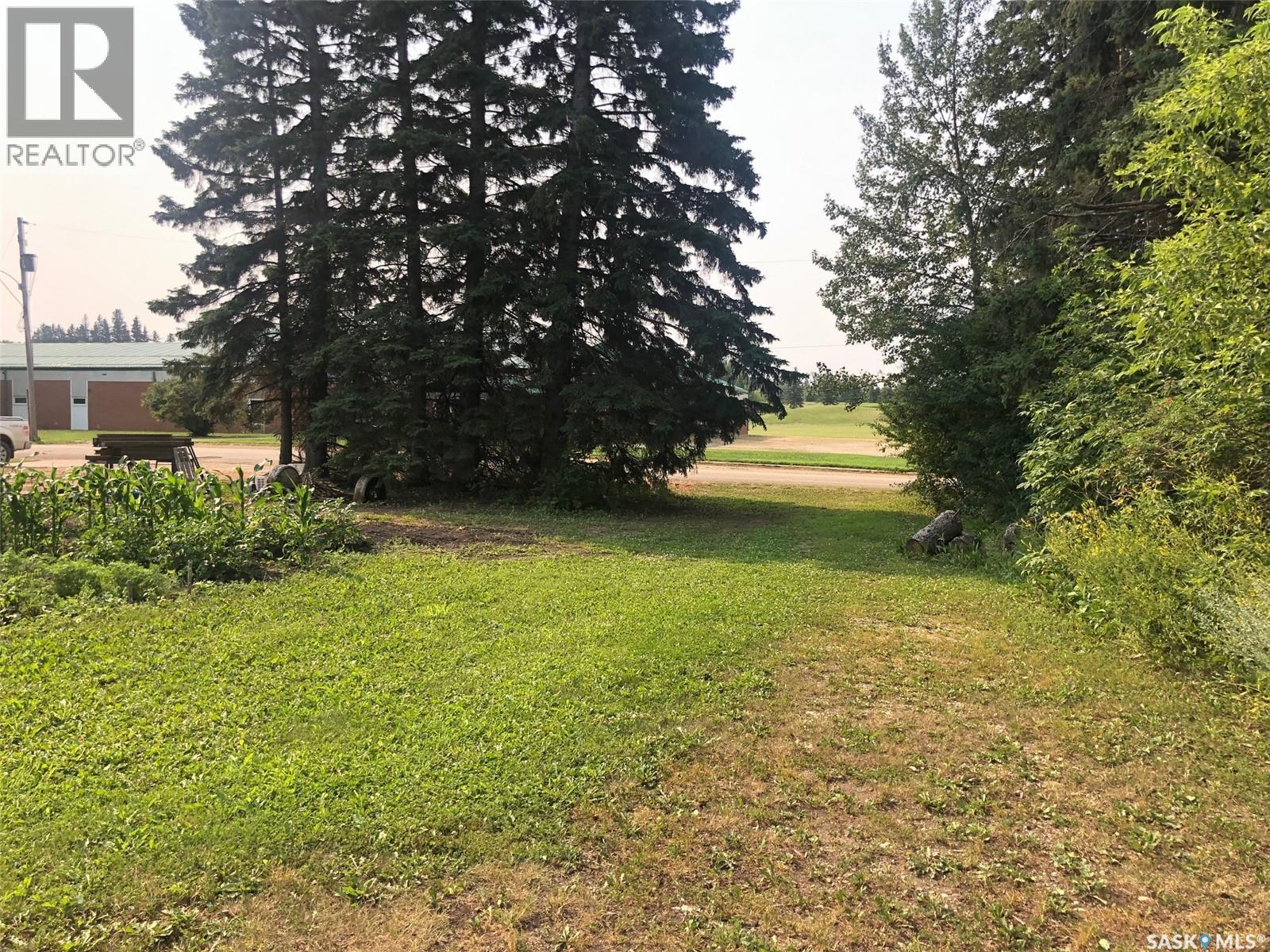 226 2nd Avenue Se, Norquay, Saskatchewan  S0A 2V0 - Photo 11 - SK044338