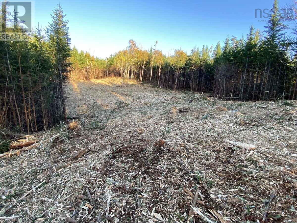 1360 East Petpeswick Road, Musquodoboit, Nova Scotia  B0J 2L0 - Photo 6 - 202615291