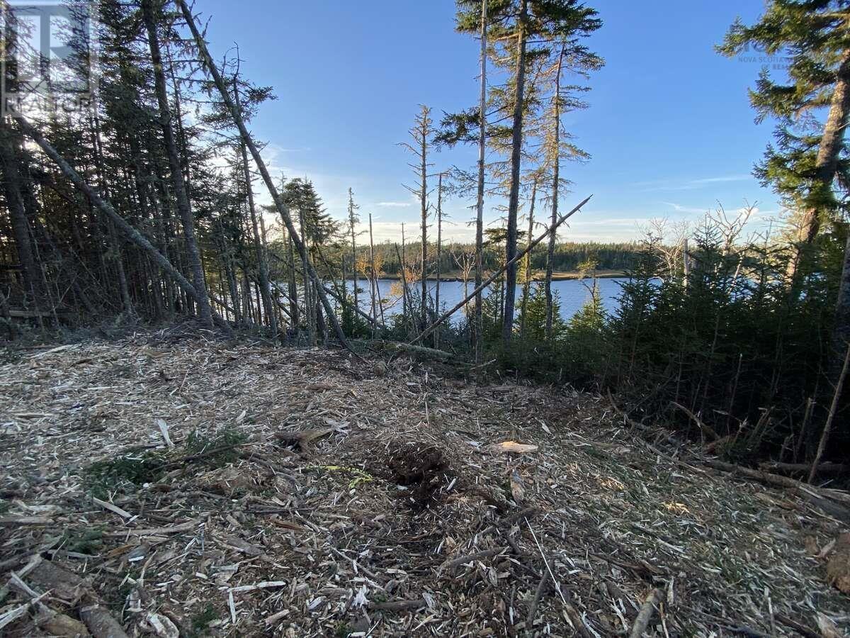 1360 East Petpeswick Road, Musquodoboit, Nova Scotia  B0J 2L0 - Photo 7 - 202615291