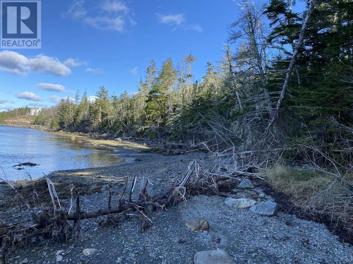 1360 East Petpeswick Road, Musquodoboit, Nova Scotia  B0J 2L0 - Photo 5 - 202615291