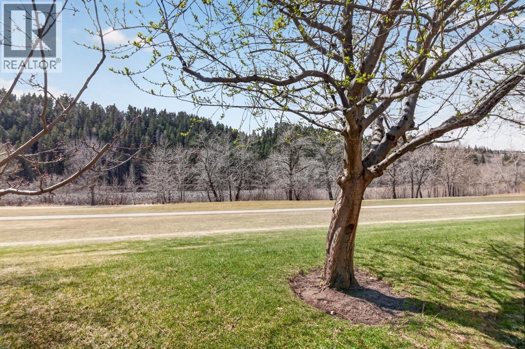 360 Point Mckay Gardens NW, Calgary, Alberta  T3B 4V8 - Photo 44 - A2329449