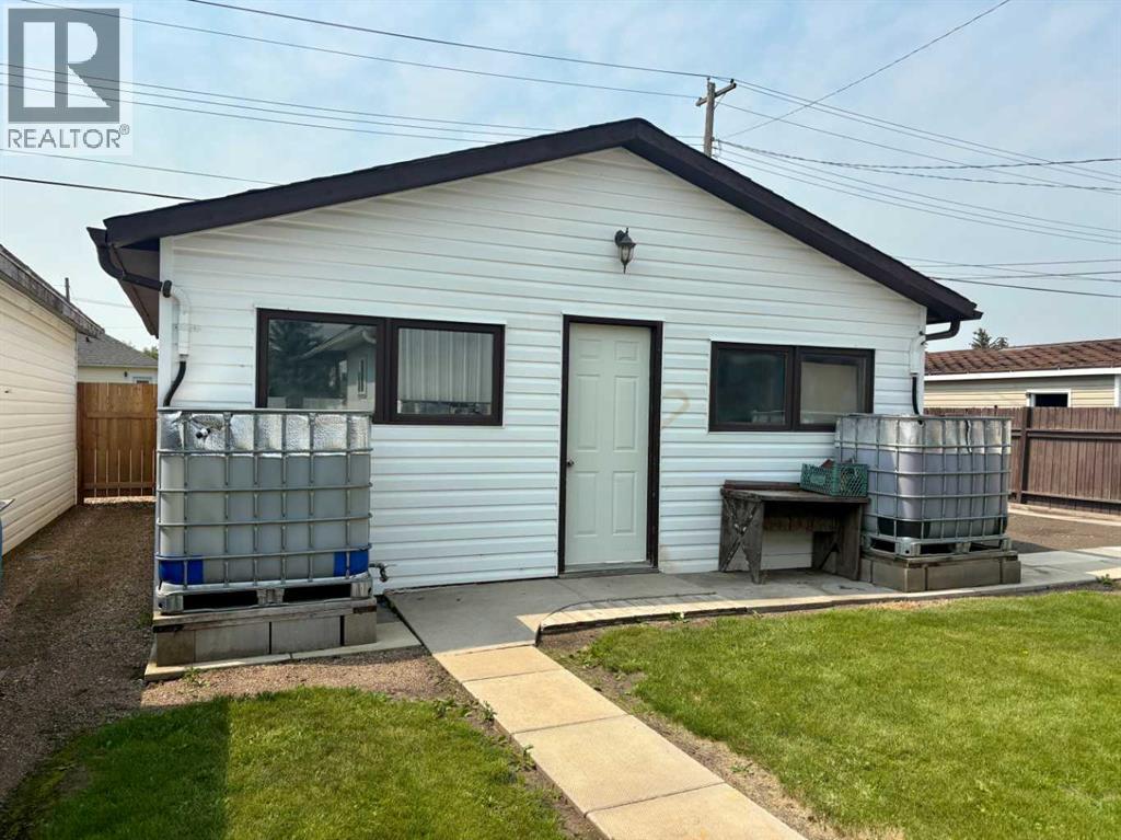 5122 46 Street, Mannville, Alberta  T0B 2W0 - Photo 3 - A2334180